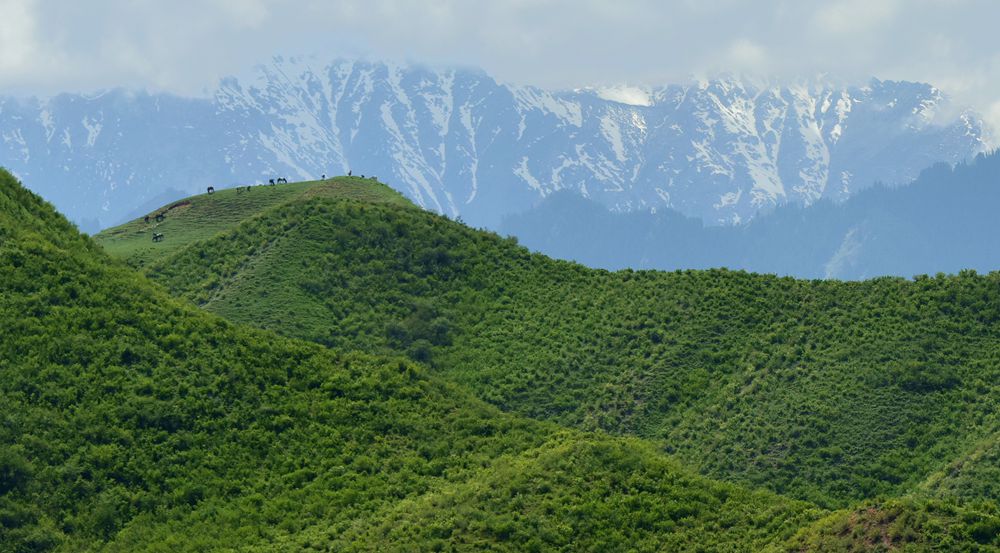 DSC_7769_.jpg