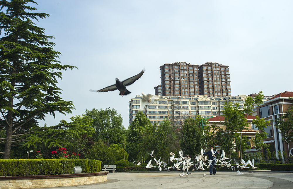 DSC_8010.jpg