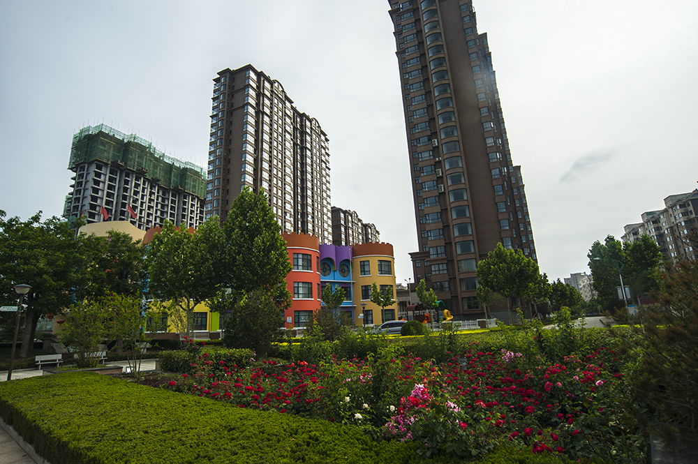 DSC_8019.jpg