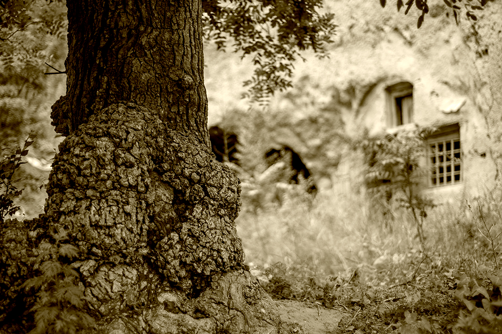 DSC_8113.jpg