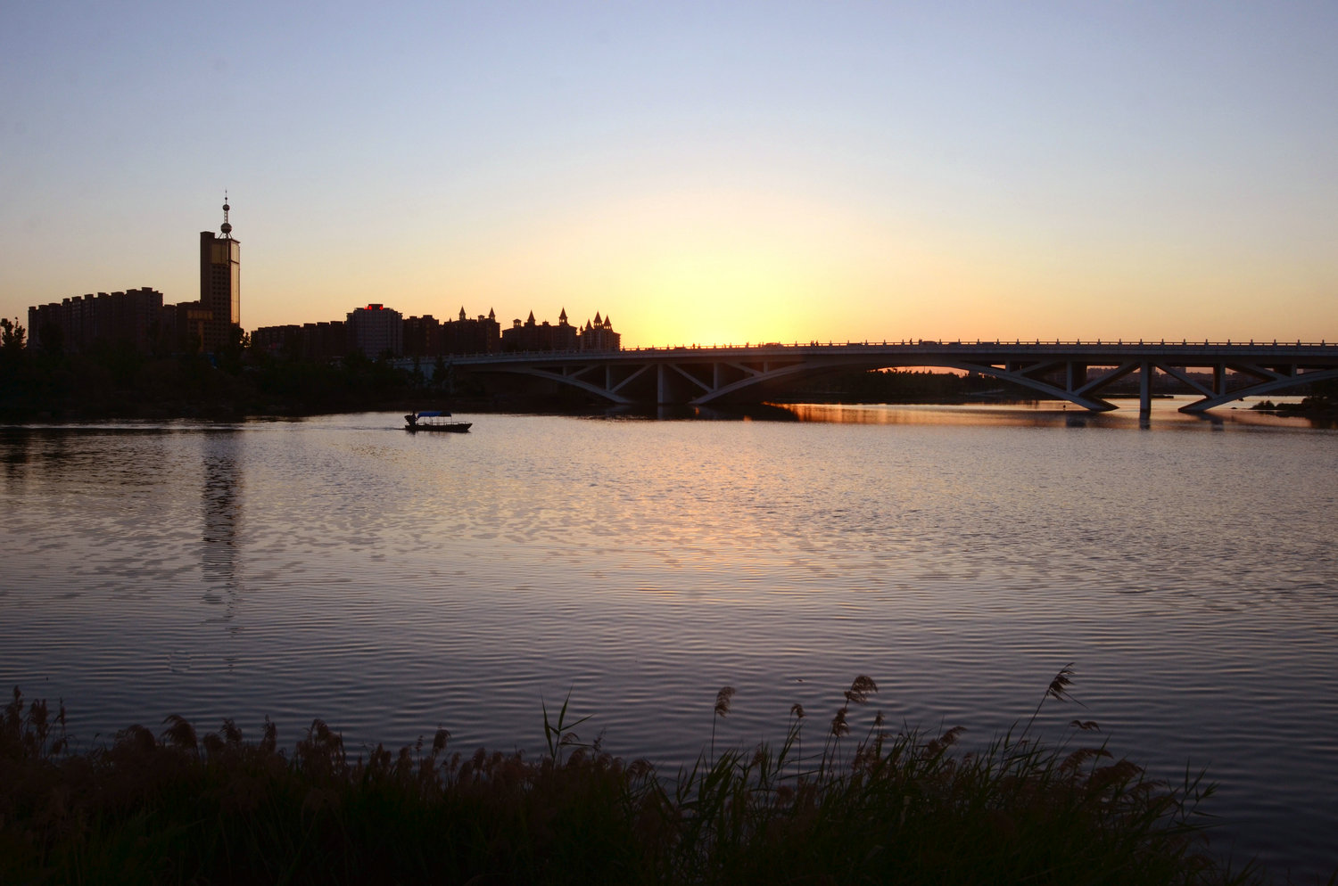 DSC_8710.jpg