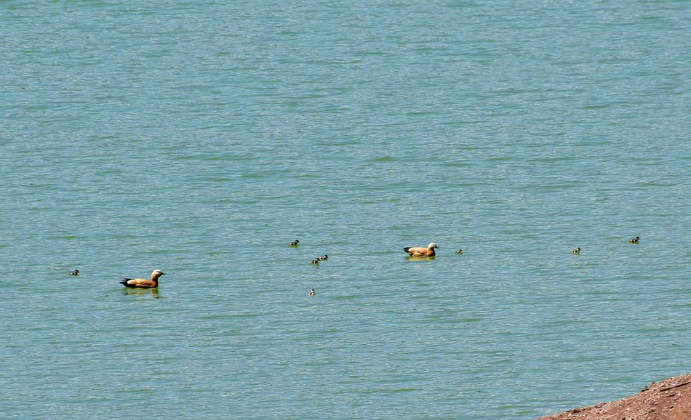 DSC_7738__.jpg