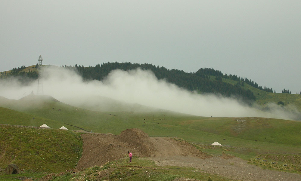 DSCN4965.jpg
