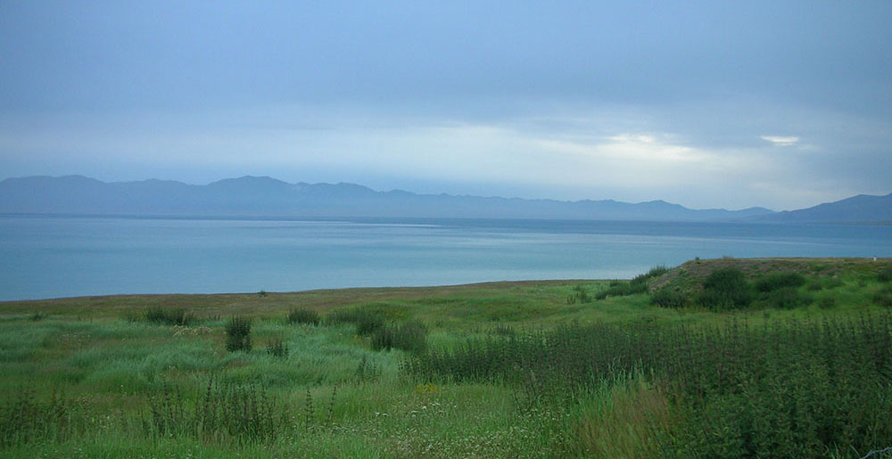 DSCN4960.jpg
