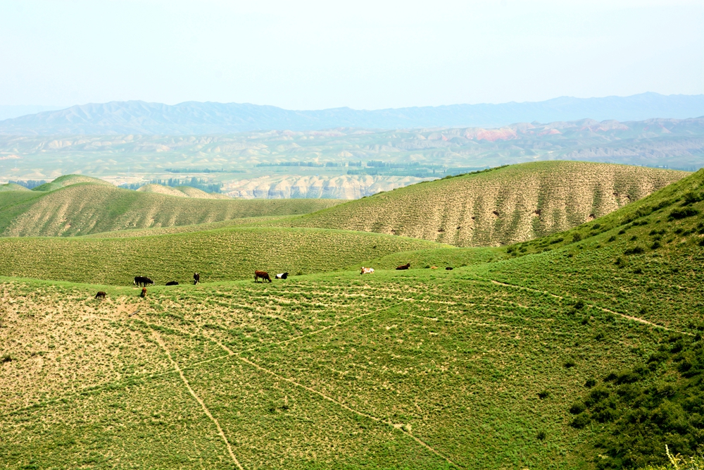 κú 096.jpg