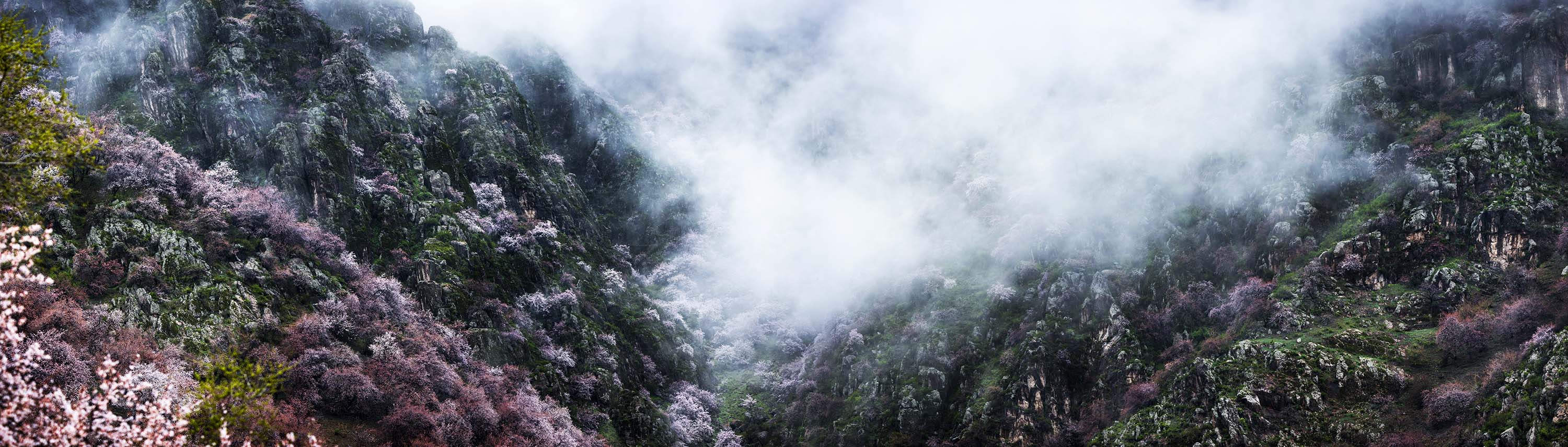 _DSC1391-Pano.jpg