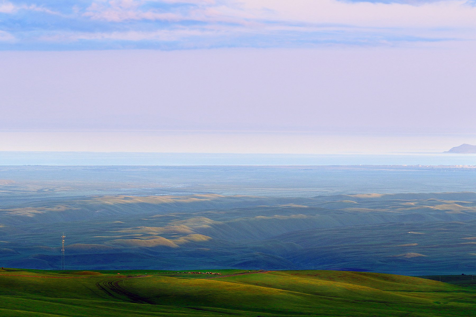 D37701.jpg