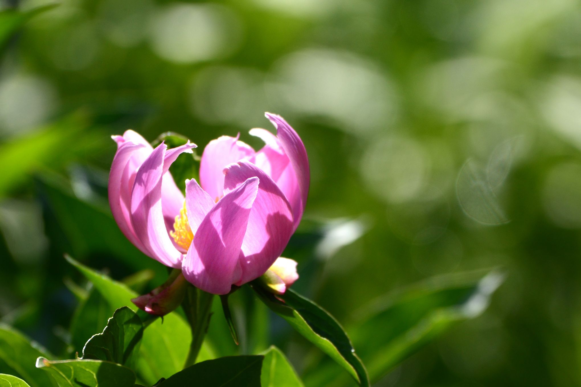 nEO_IMG__DSC1830.jpg