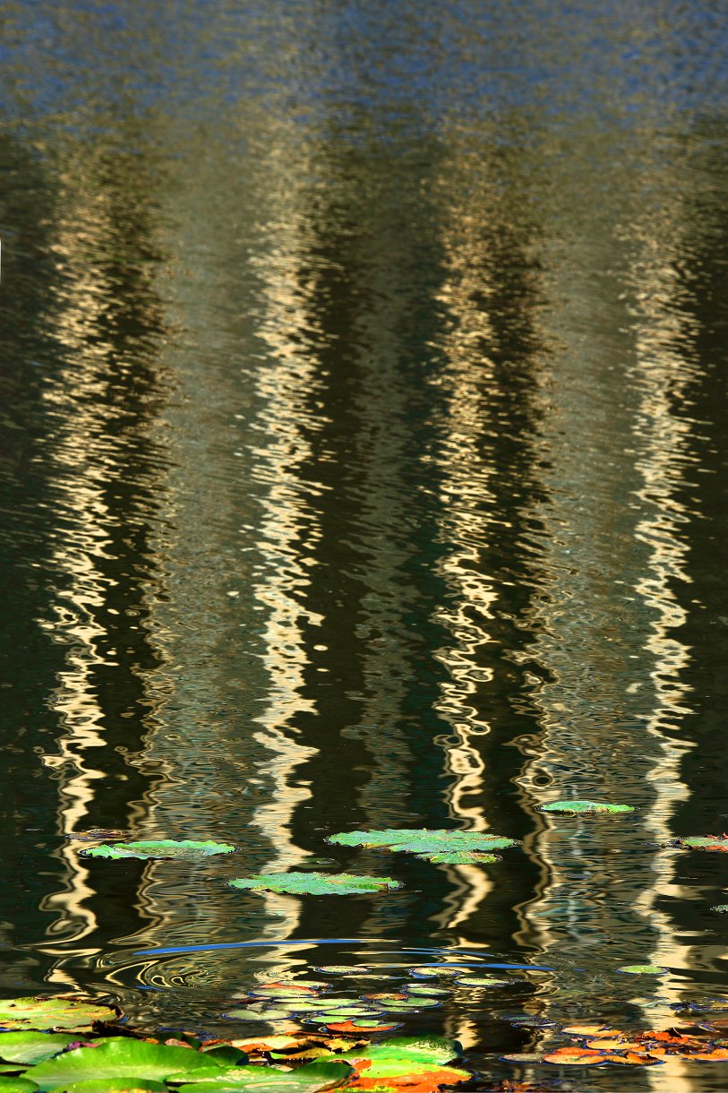 Ź 13899508168.jpg