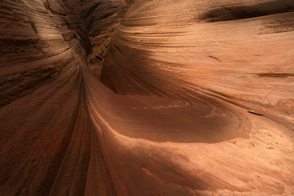 DSC_1529.JPG