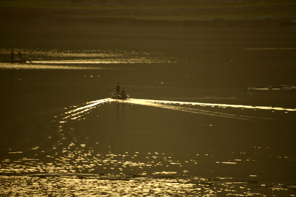 _DSC8444=.jpg