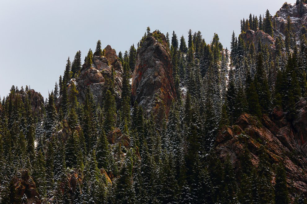 D39140.jpg