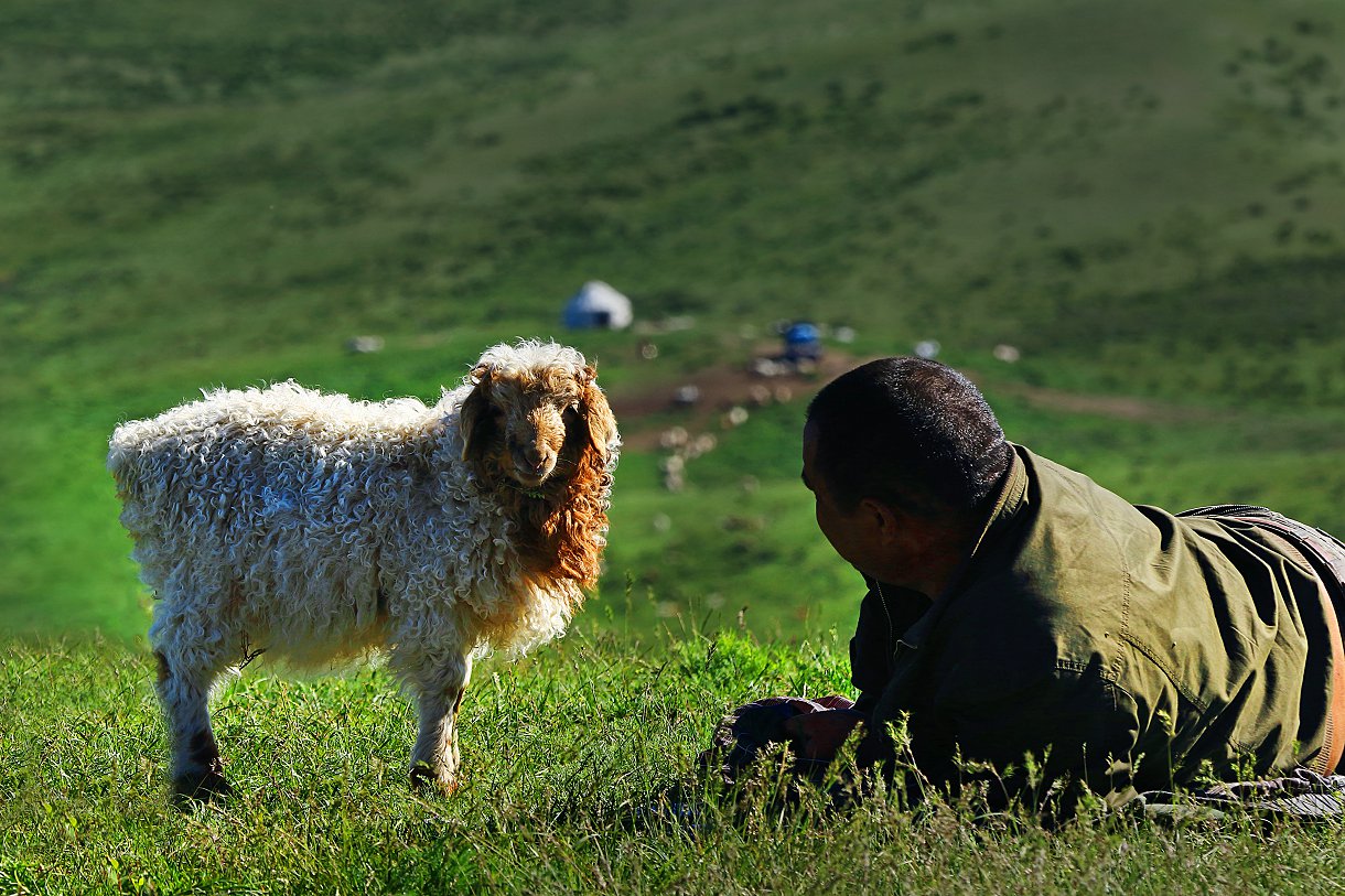 QԻŹ 13899508168.jpg