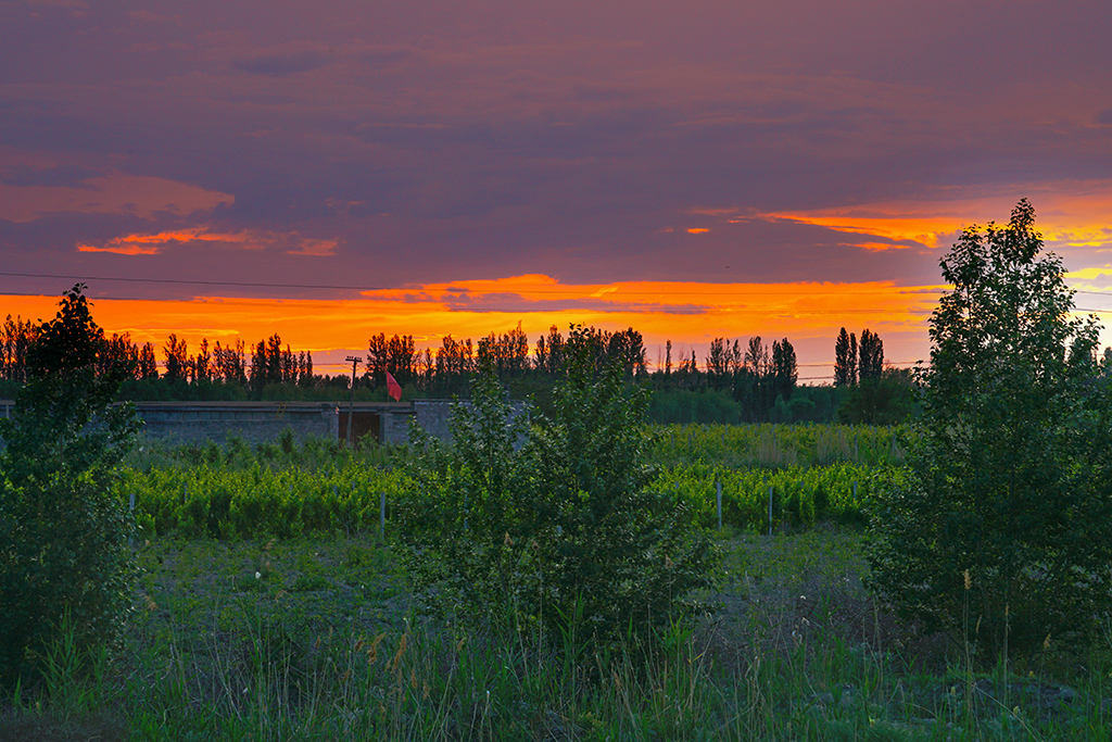DSC05476.JPG