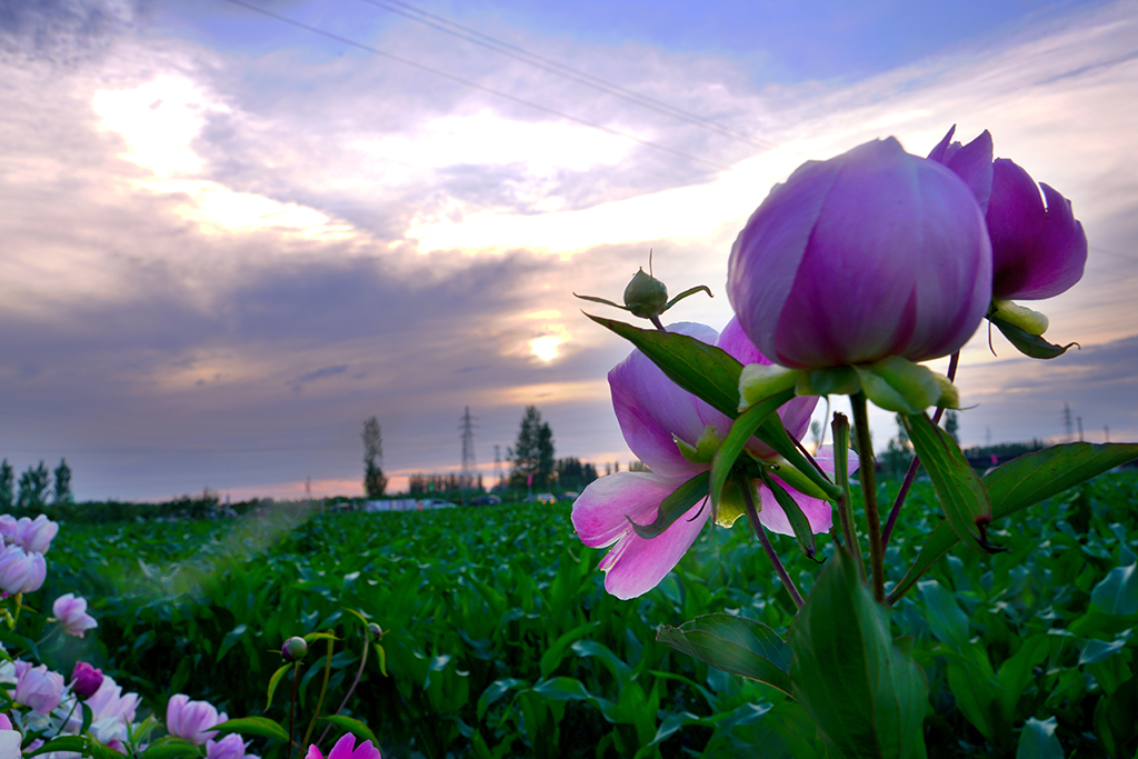 DSC05464.JPG