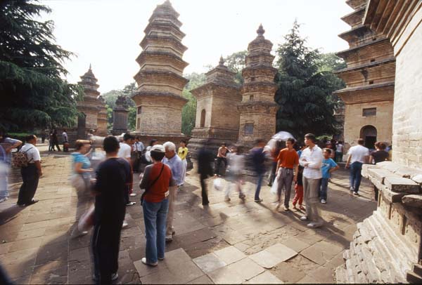 20008.jpg