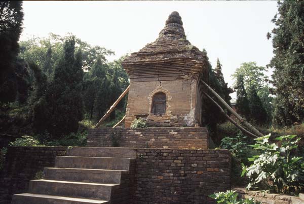 22010.jpg