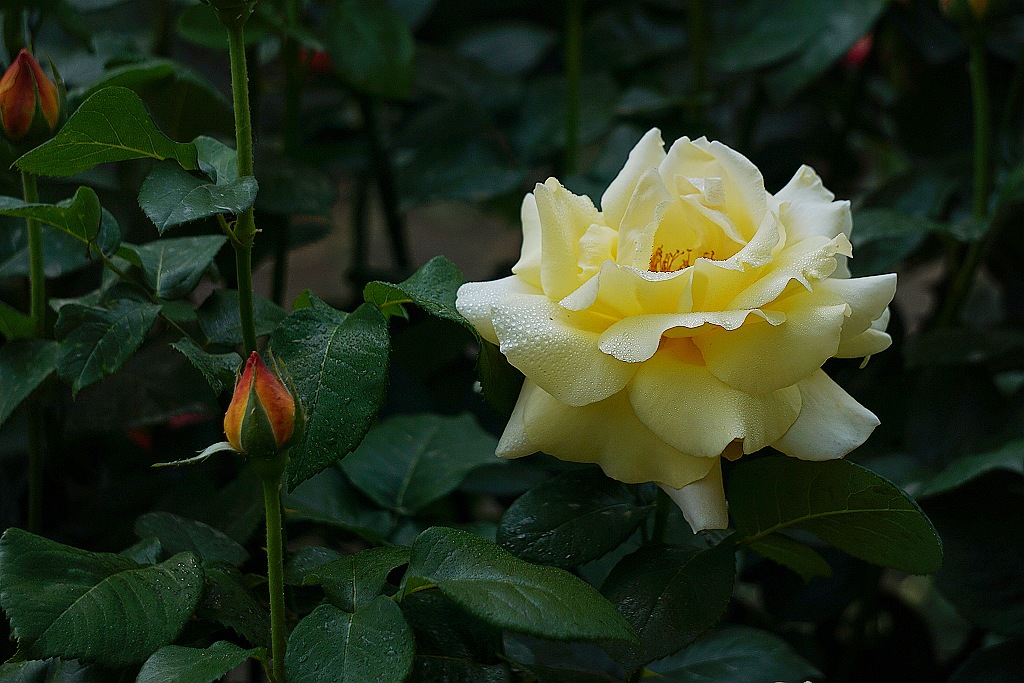 ¼Ʈ4.jpg