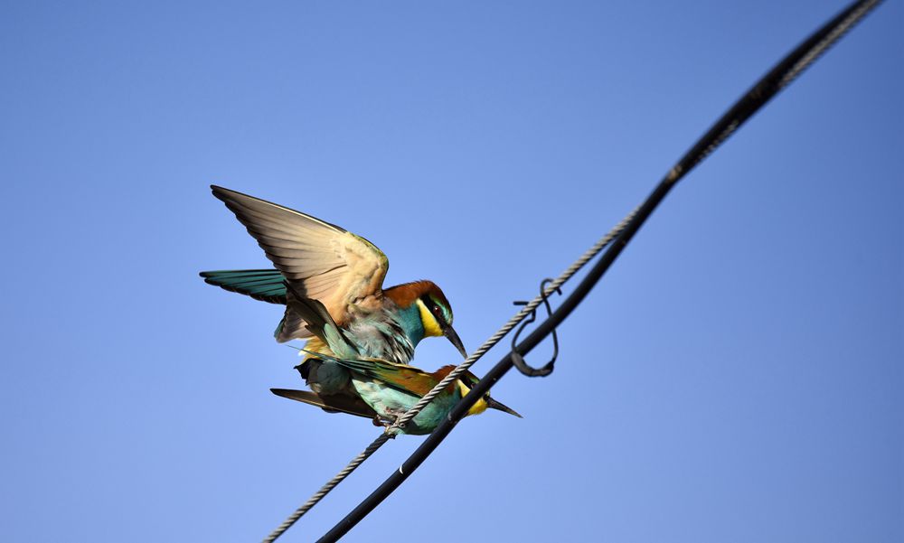 DSC_8409_.jpg