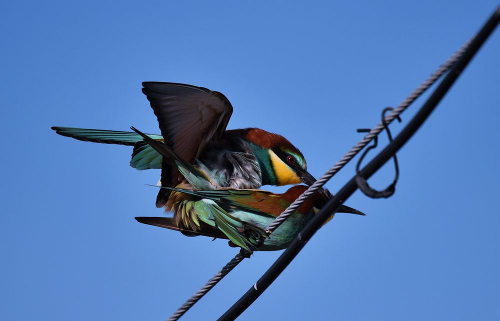 DSC_8420_.jpg