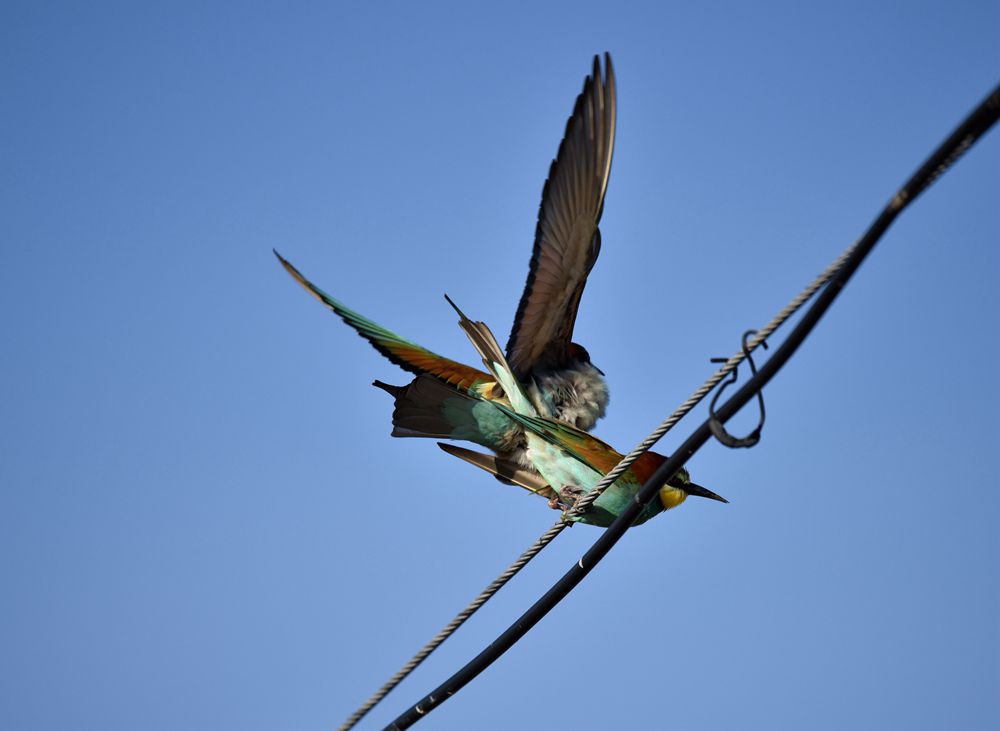 DSC_8425__.jpg