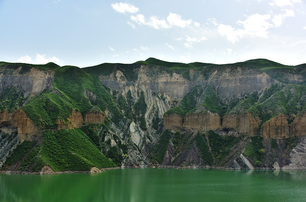 DSC_8116.jpg