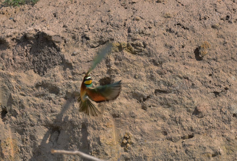 DSC_9743.jpg