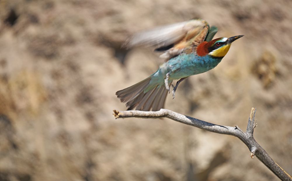 DSC_9839.jpg