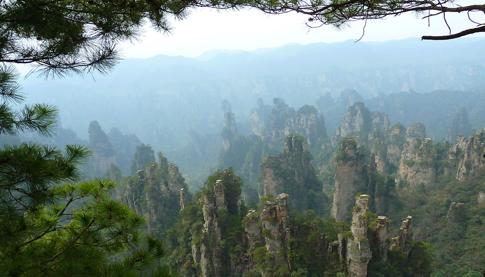  P1010295.JPG