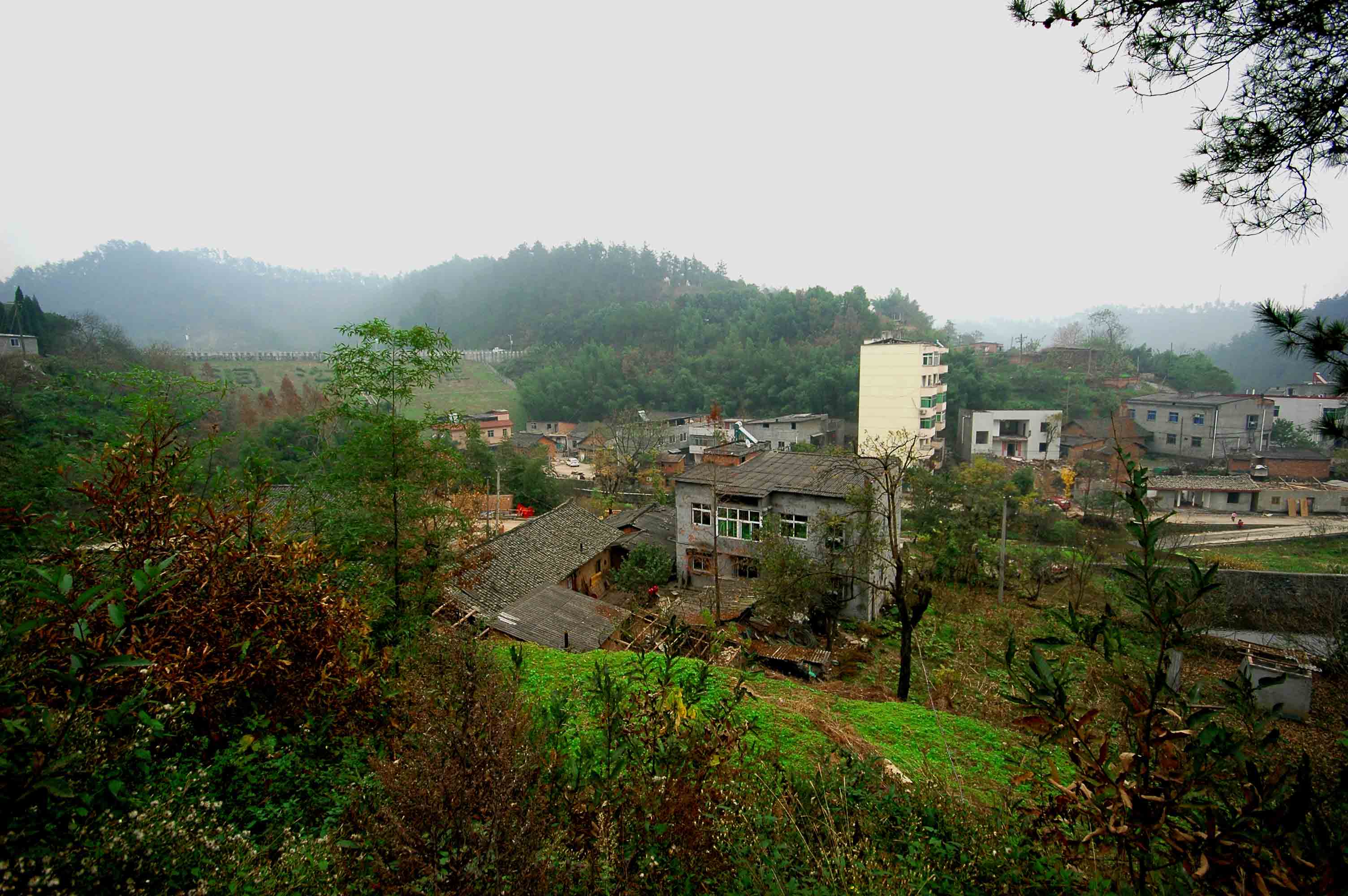 1-20111126նǨǰҶˮµľׯȫ