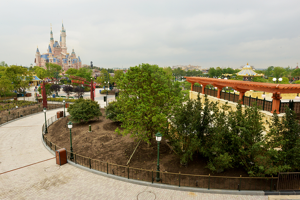 DSC_4613.JPG