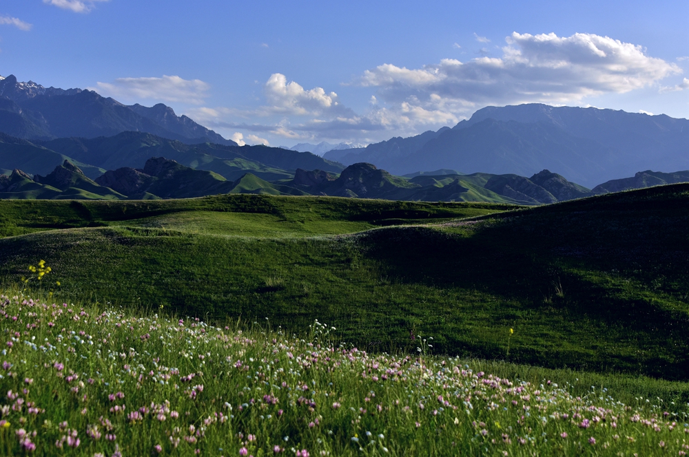 DSC_1163__.jpg