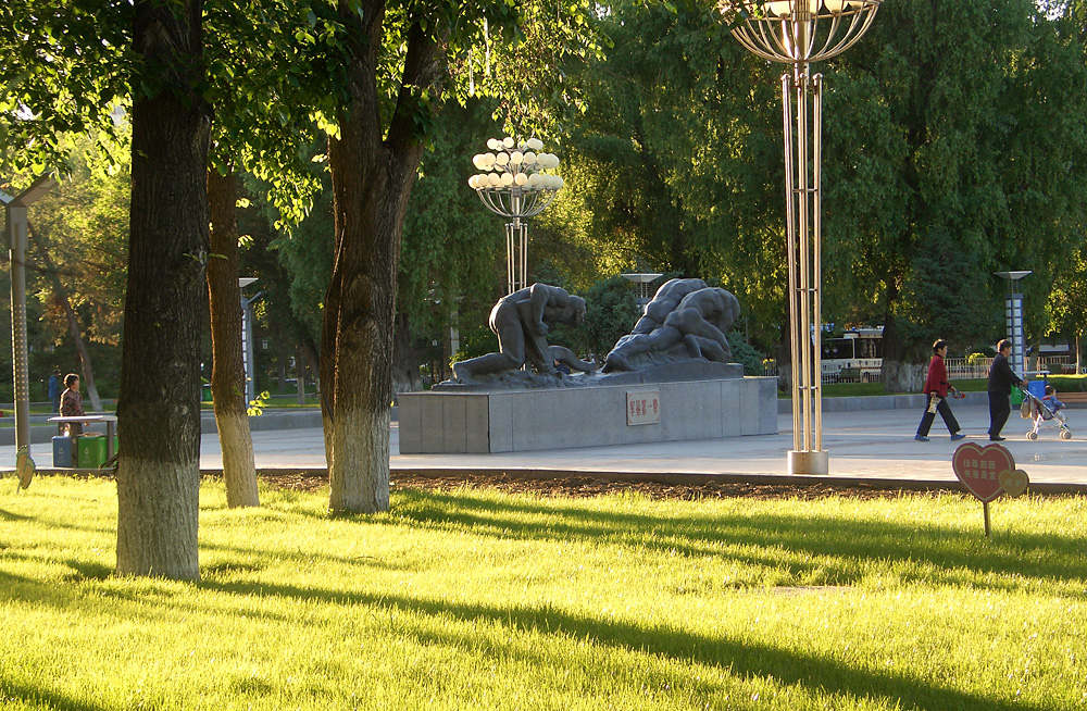 CIMG2311.jpg