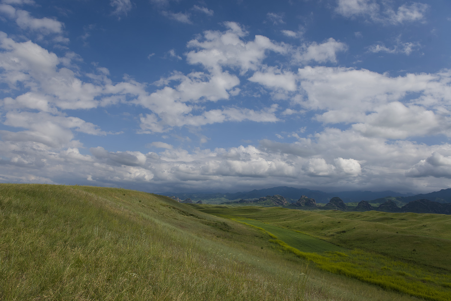 _DSC1635.JPG