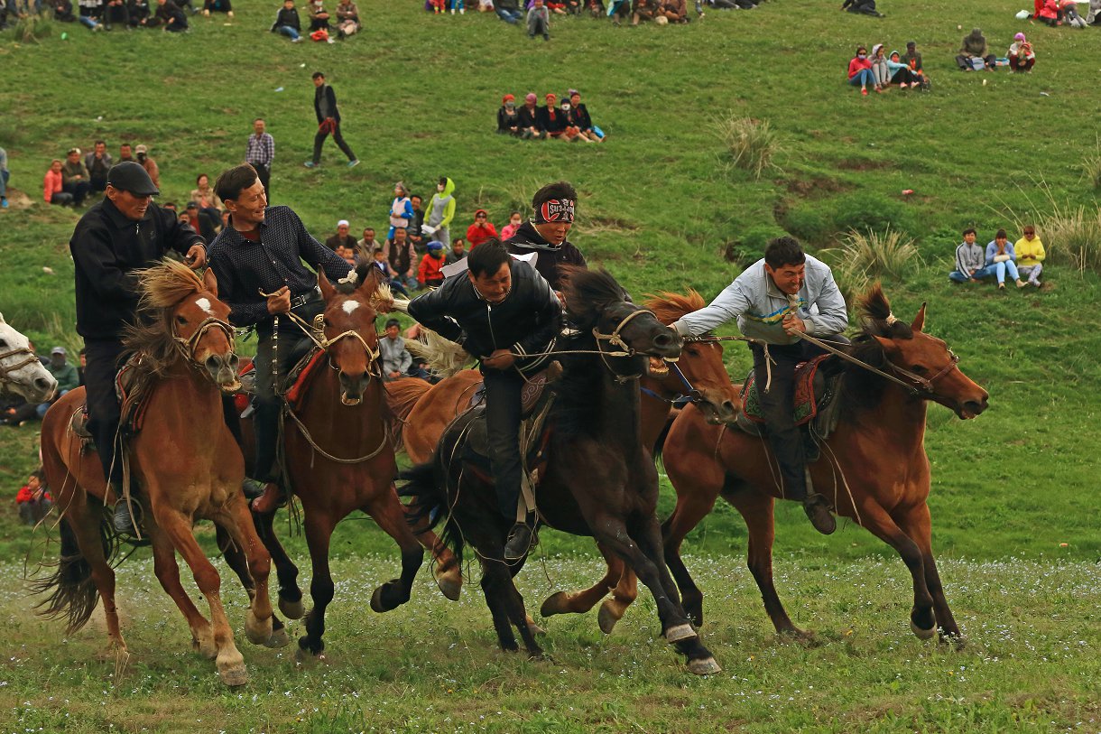 D41442.jpg