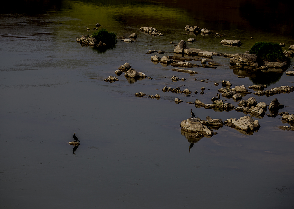 _N0P1566.jpg