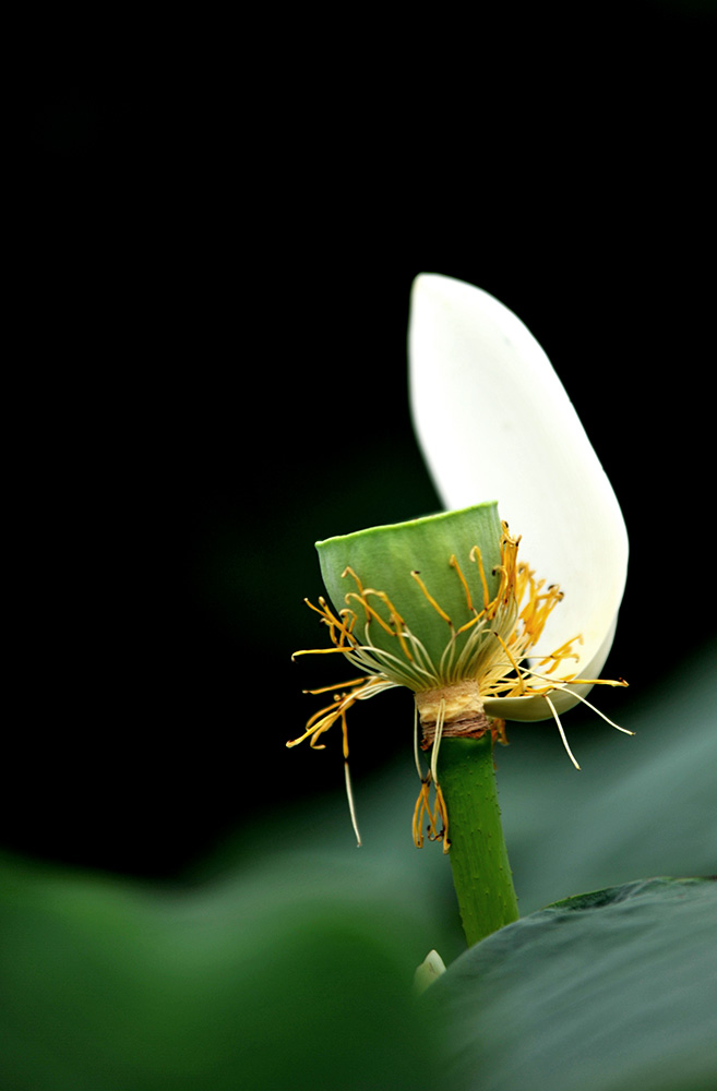 DSC_5243.JPG