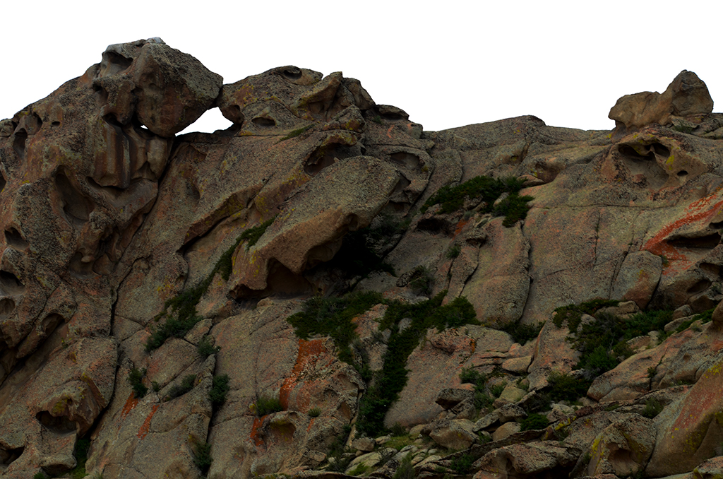 DSC_9195.JPG