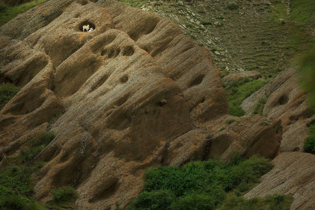 QD44285.jpg