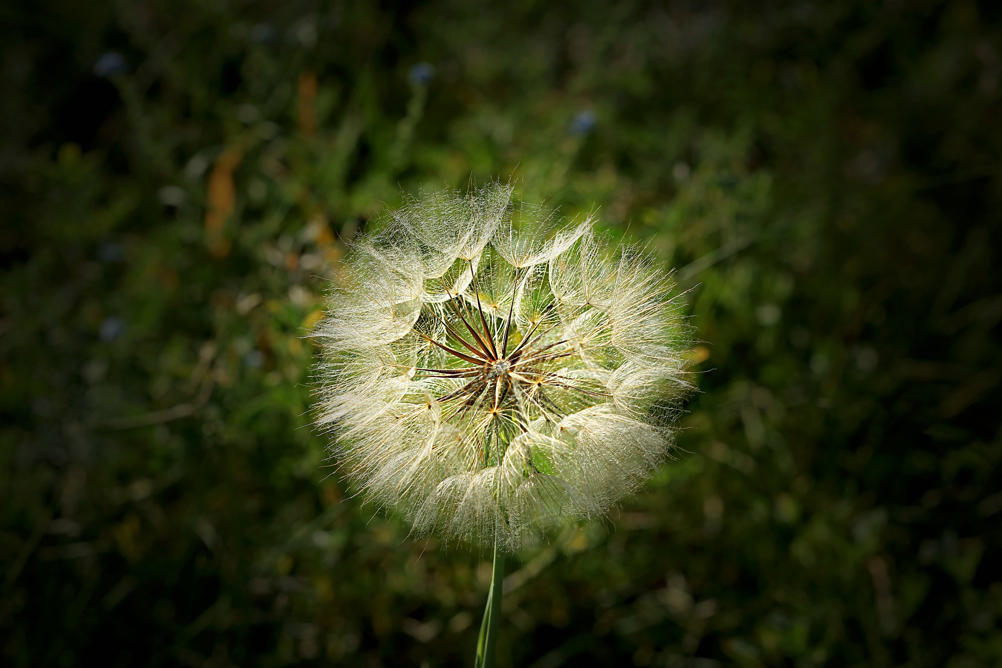 D42903.jpg
