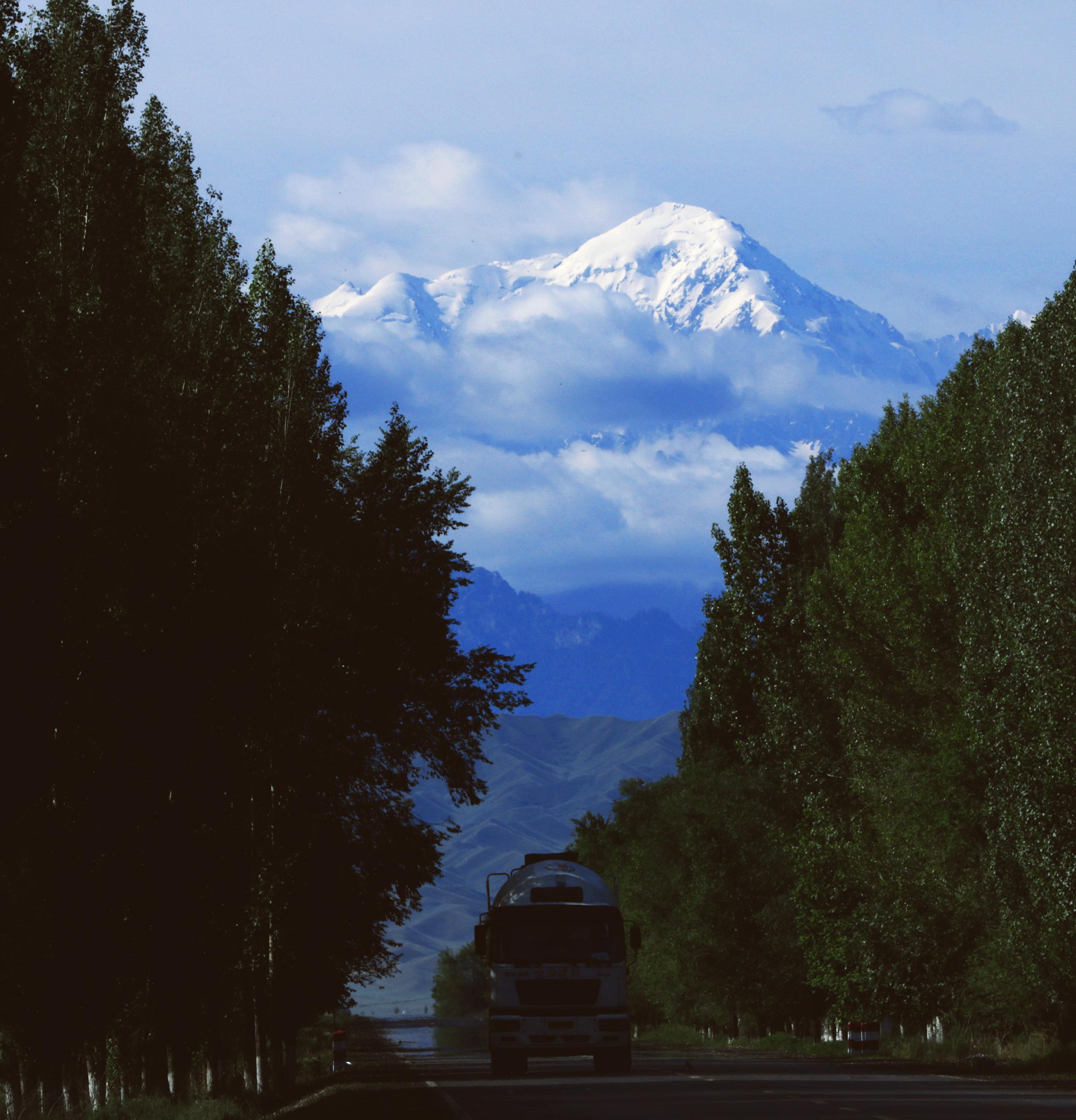 739A4110@.jpg