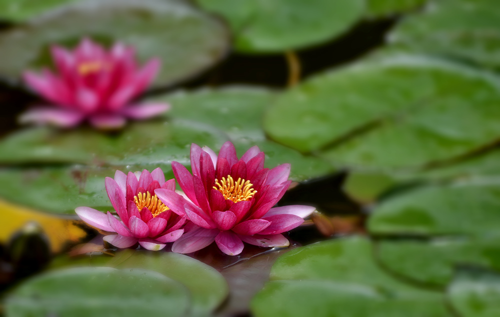 Ƭ 029.jpg