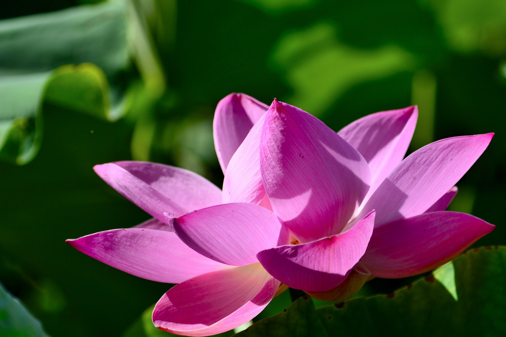 nEO_IMG__DSC3481.jpg