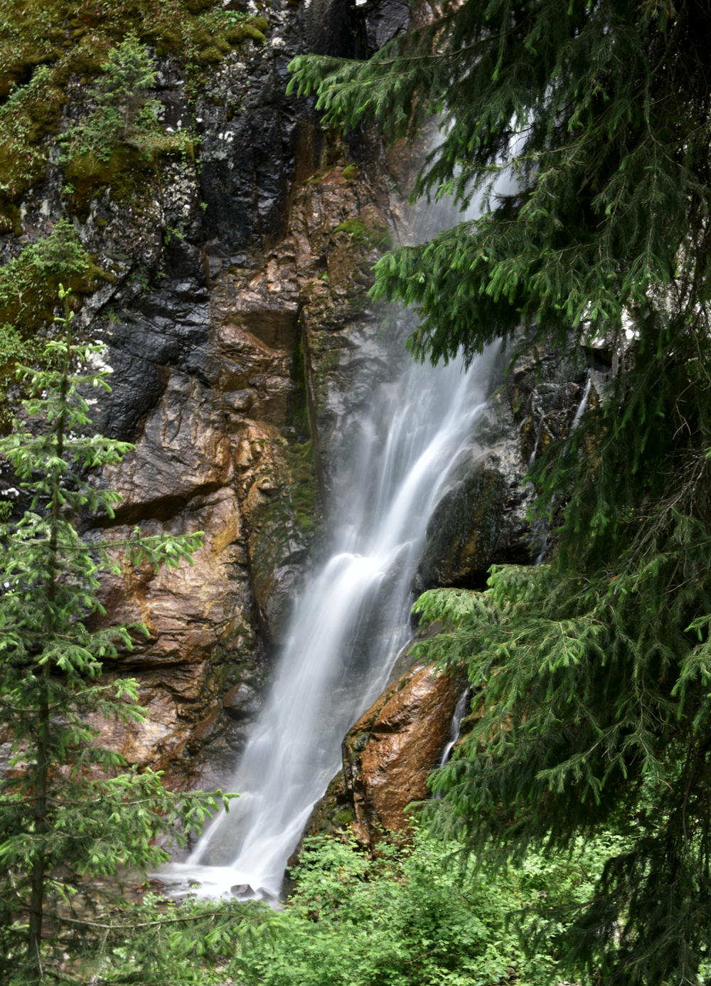 DSC_2849.jpg