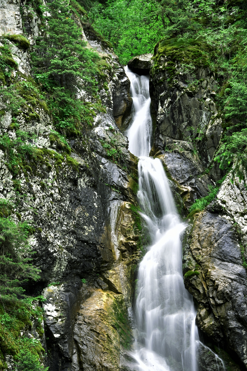 DSC_2885_.jpg