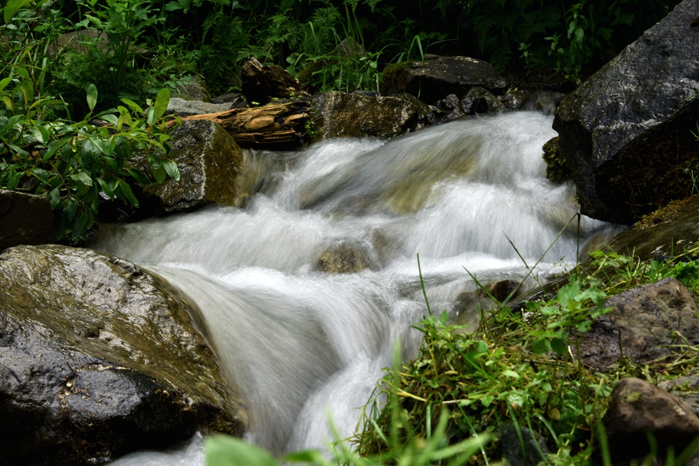 DSC_3056_.jpg