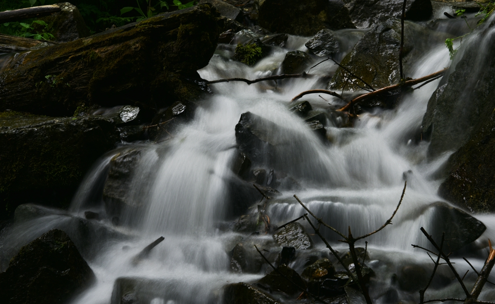 DSC_3007_.jpg