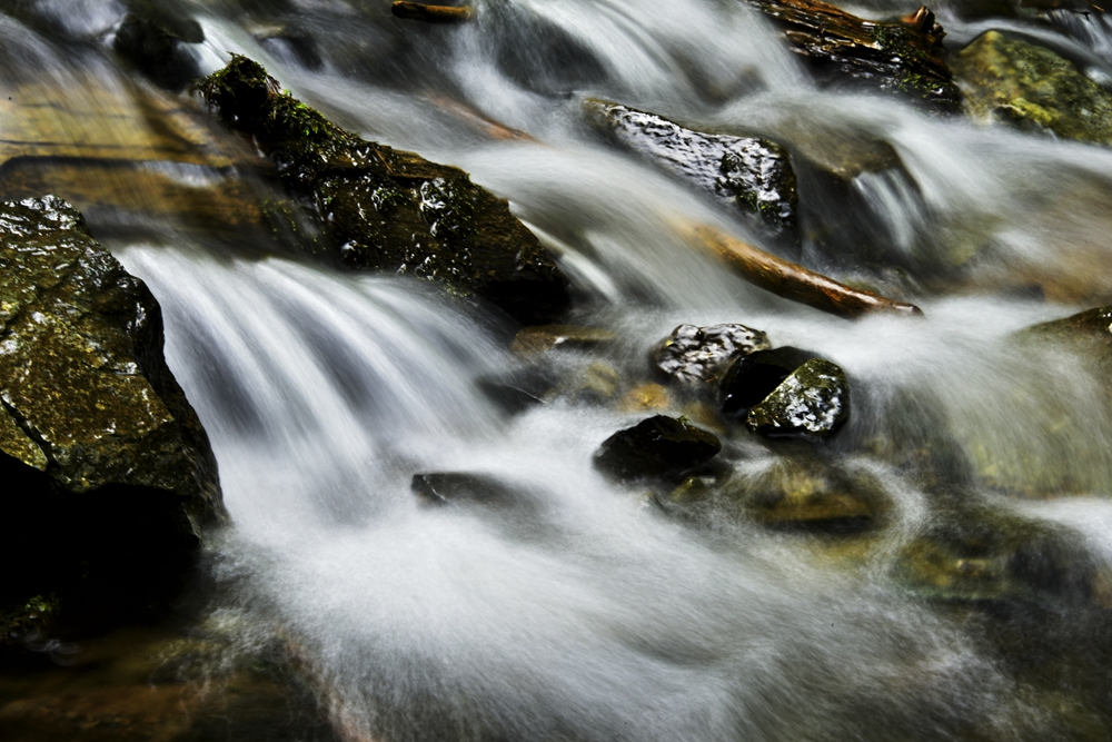 DSC_2908_.jpg