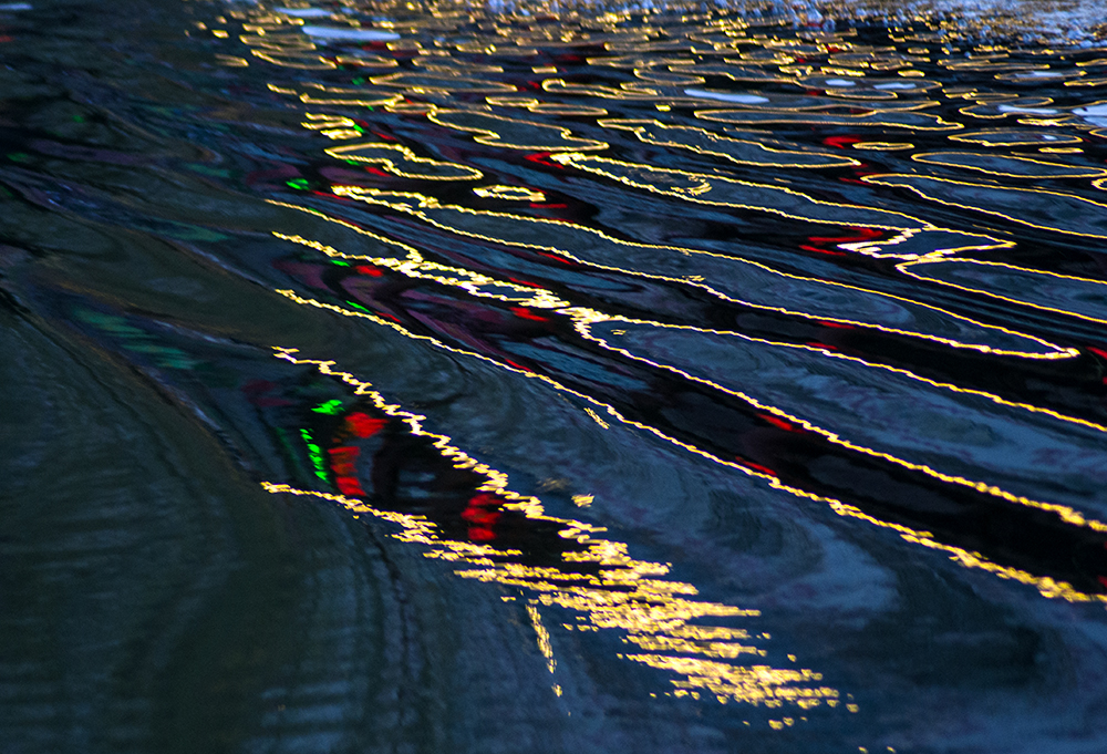 DSC_0098.jpg