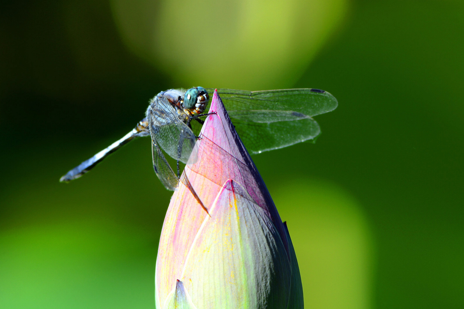 nEO_IMG__DSC3543.jpg